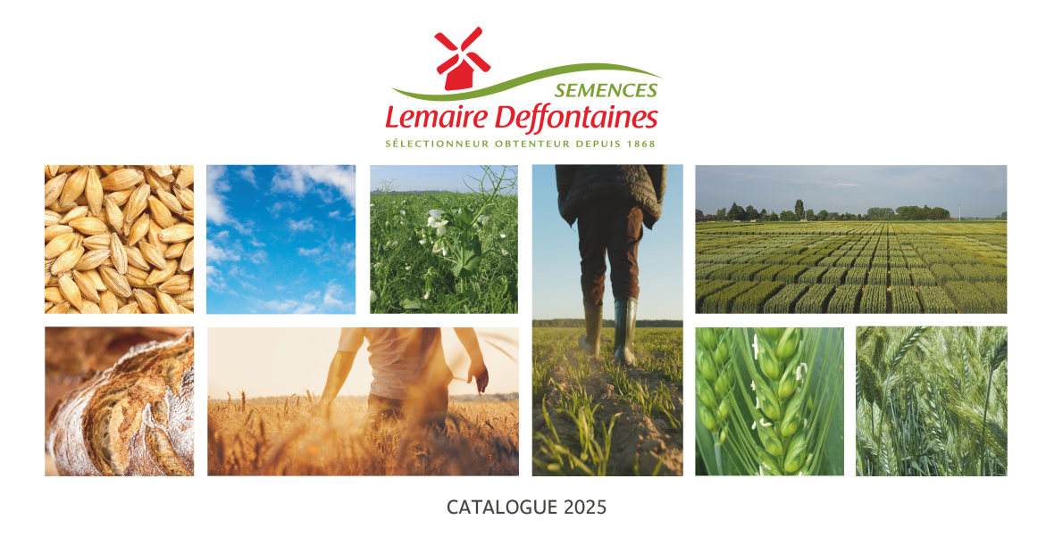 image_actu_catalogue_2025.png